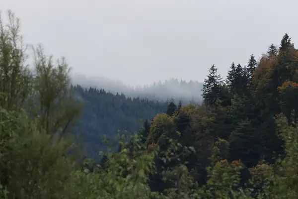 478A6753 - Paysages